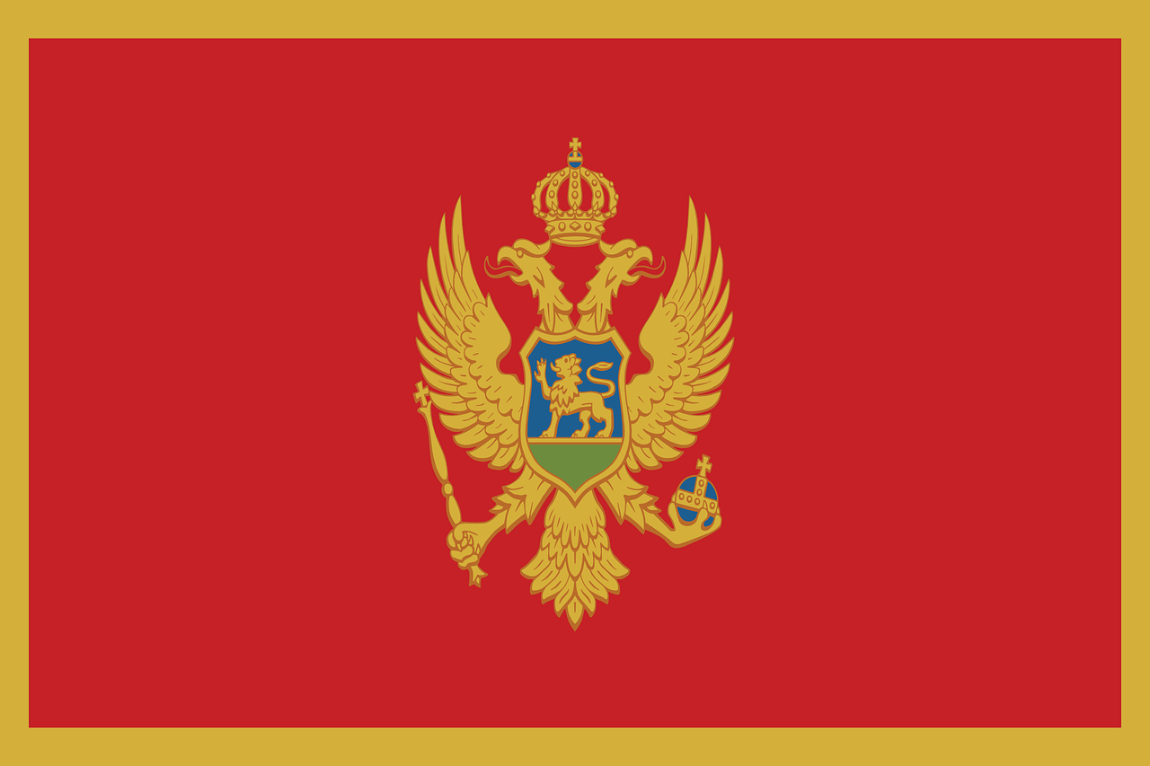 simkool montenegro